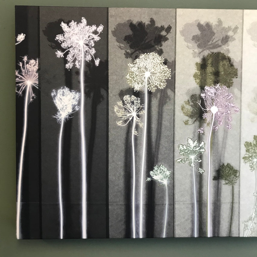 Grey Seedheads Panel