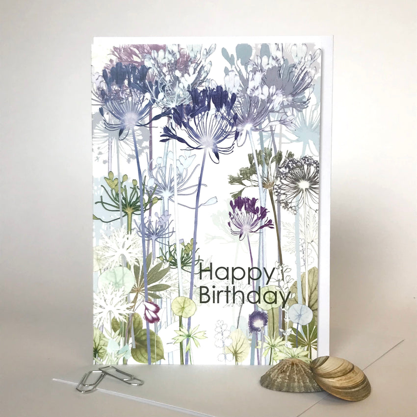 Happy Birthday, Agapanthus Card