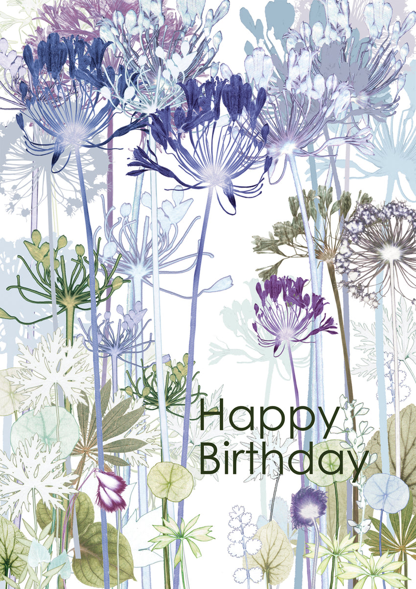 Happy Birthday, Agapanthus Card