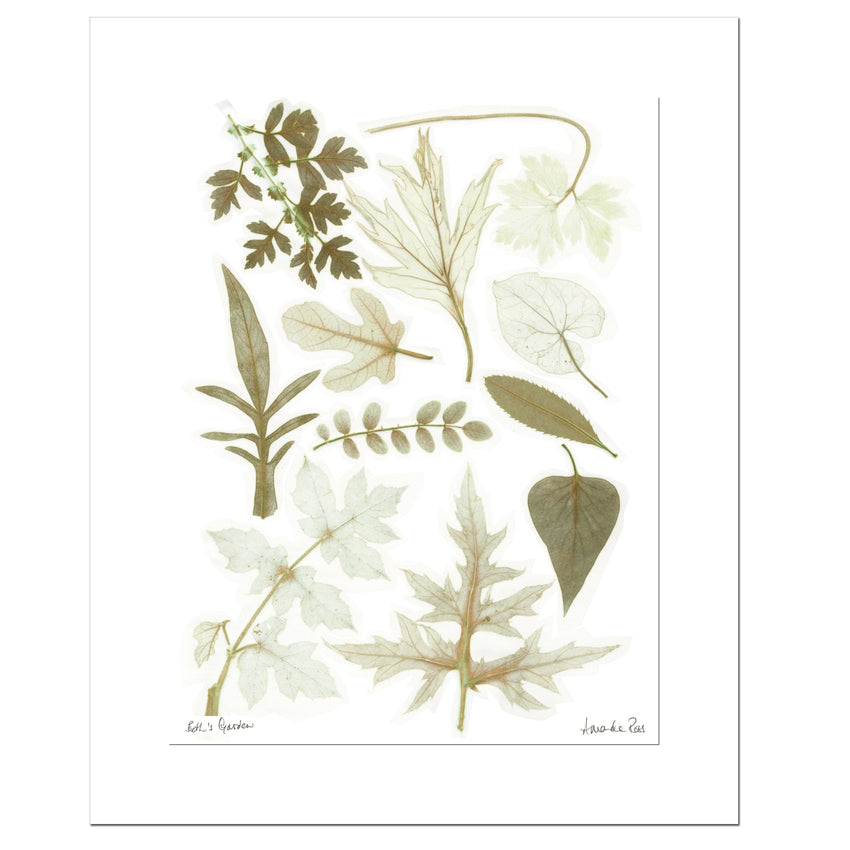 The Garden Collection