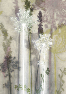 Hazy Cowparsley Card