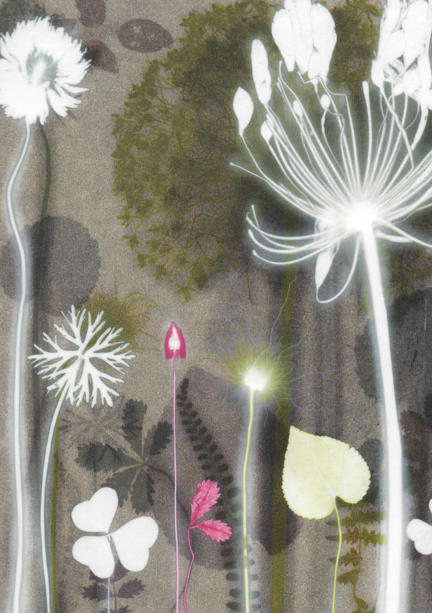 Hazy Garden Card