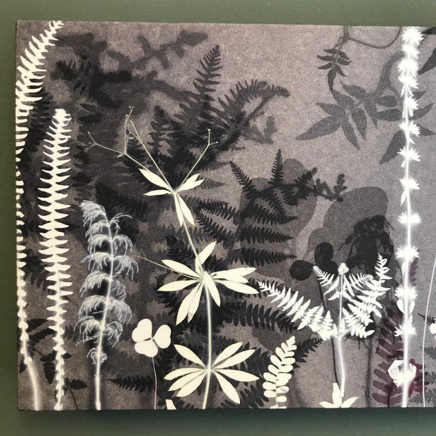 Heathscape 1 Panel