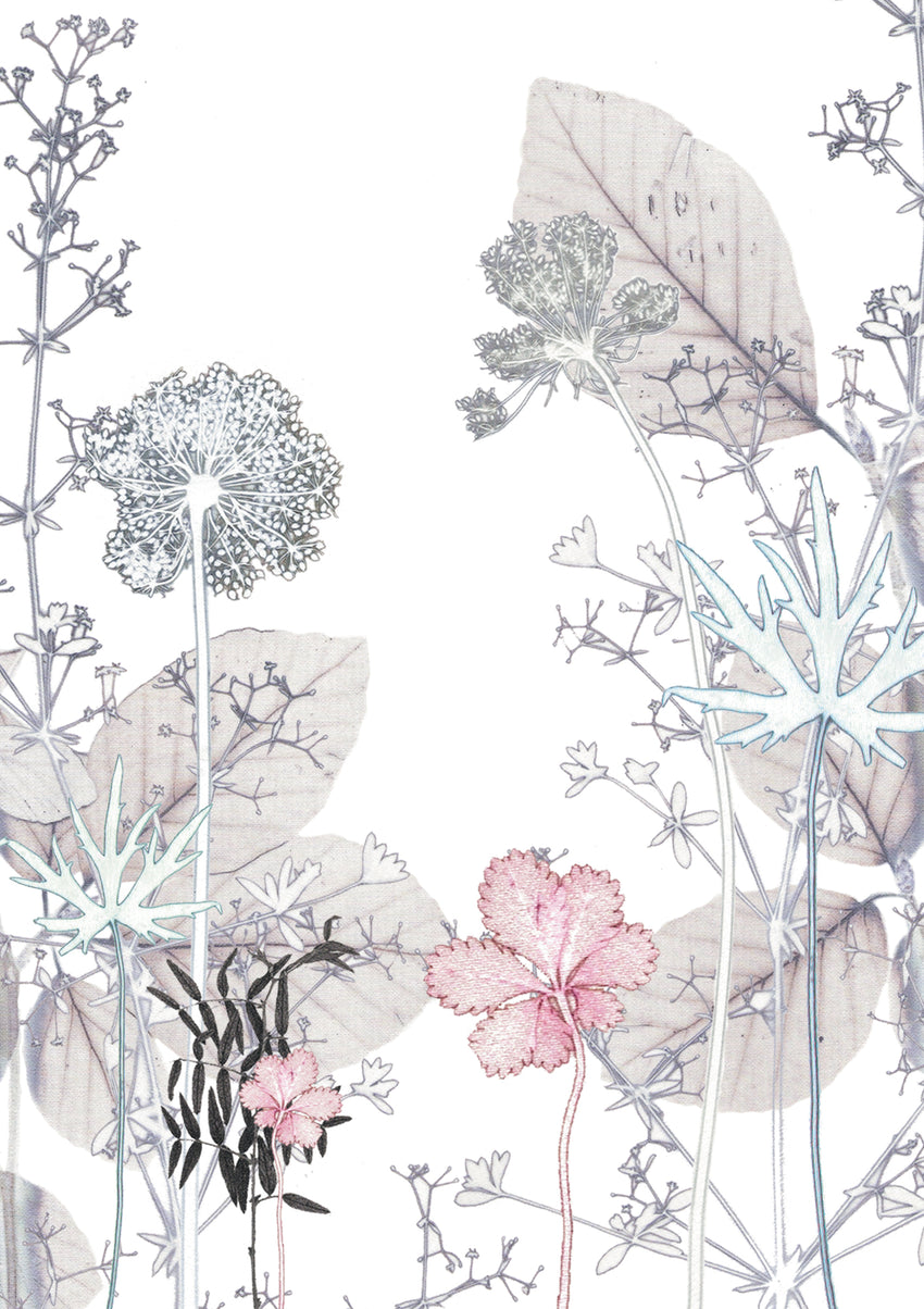 Hedge Card