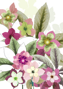Hellebore