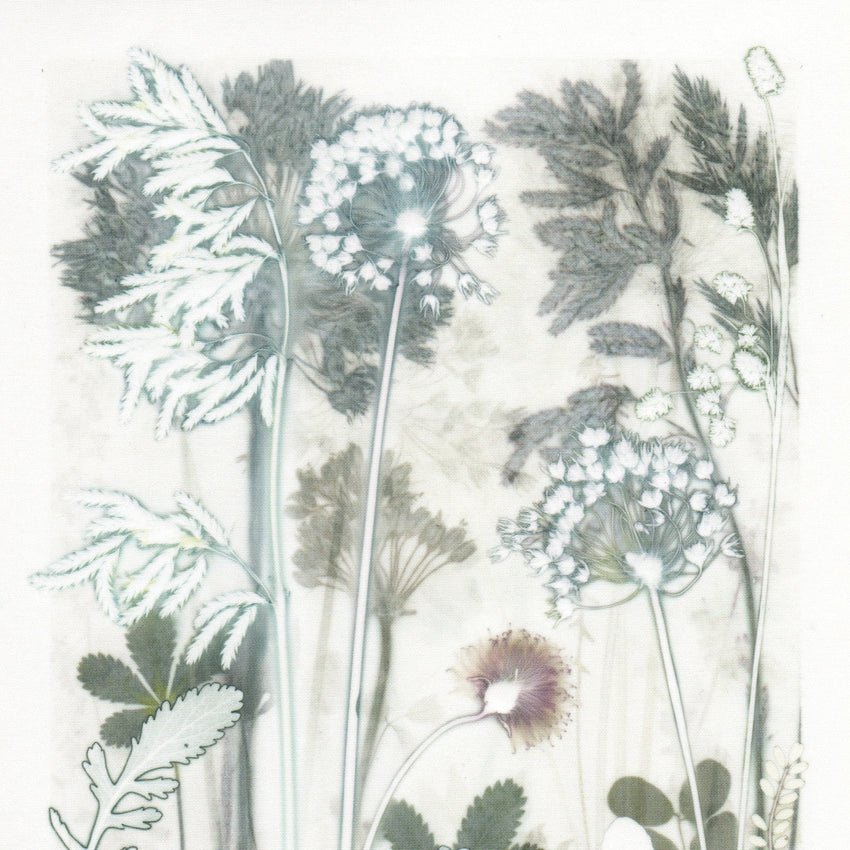 Icy Garden, 30 x 40 cm