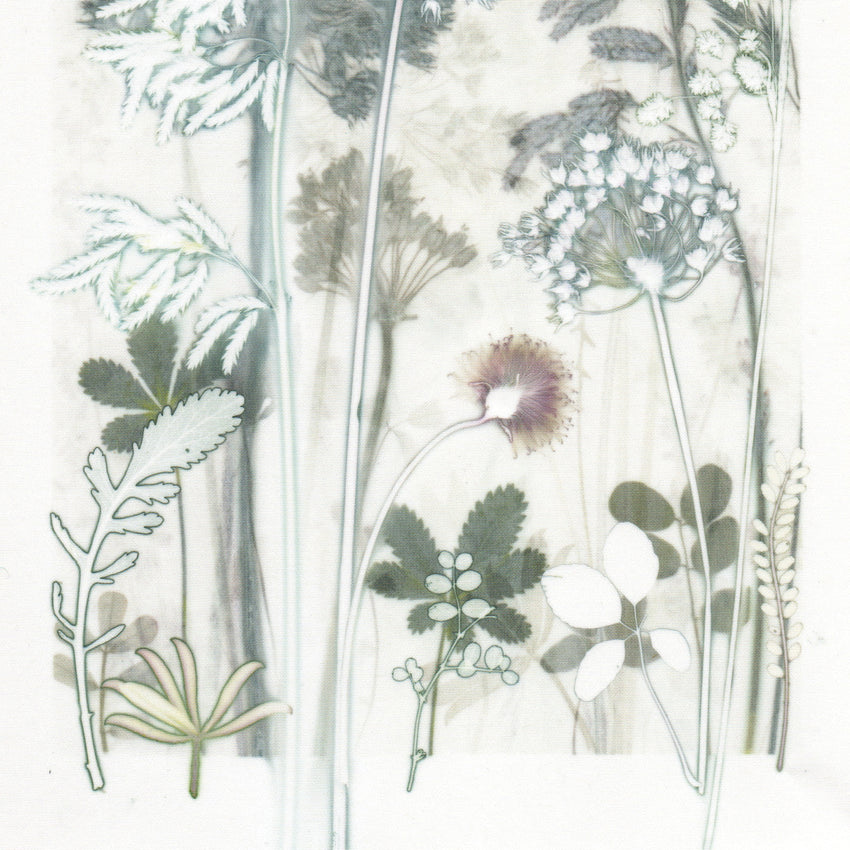 Icy Garden, 30 x 40 cm