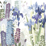 Iris and lupins Print