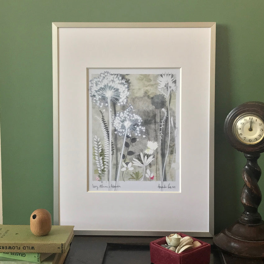 Ivory Alliums and Astrantia, 30 x 40