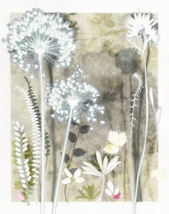 Ivory Alliums and Astrantia, 30 x 40