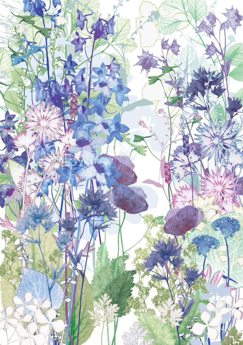 Larkspur Greetings Card