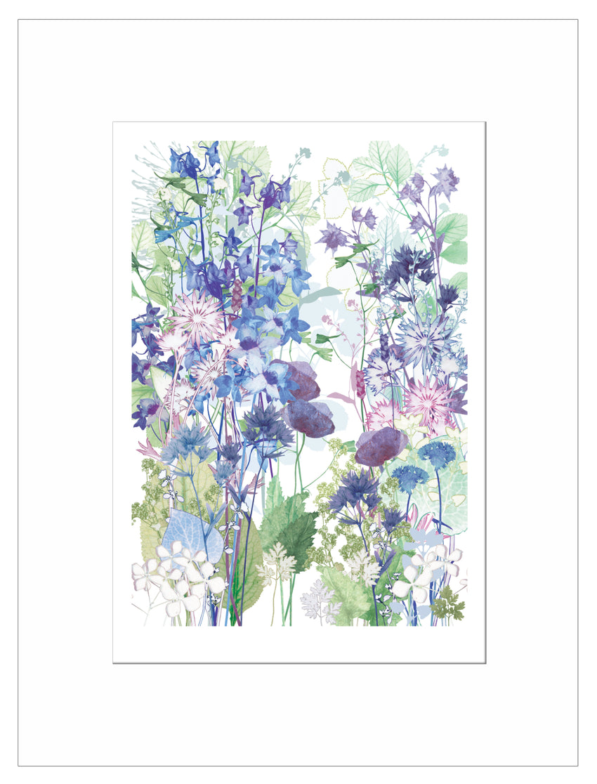 Larkspur Print