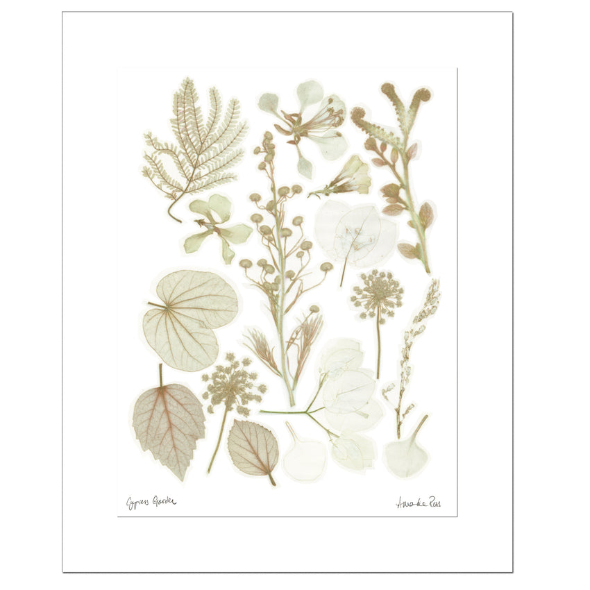 The Garden Collection