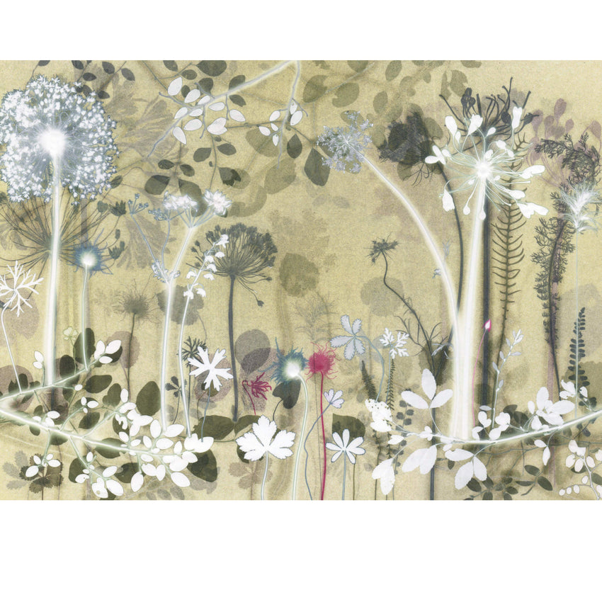 Lime Allium Path