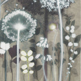 Luminous Allium