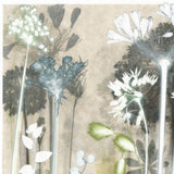 Luminous Cotton Sedge Original Print