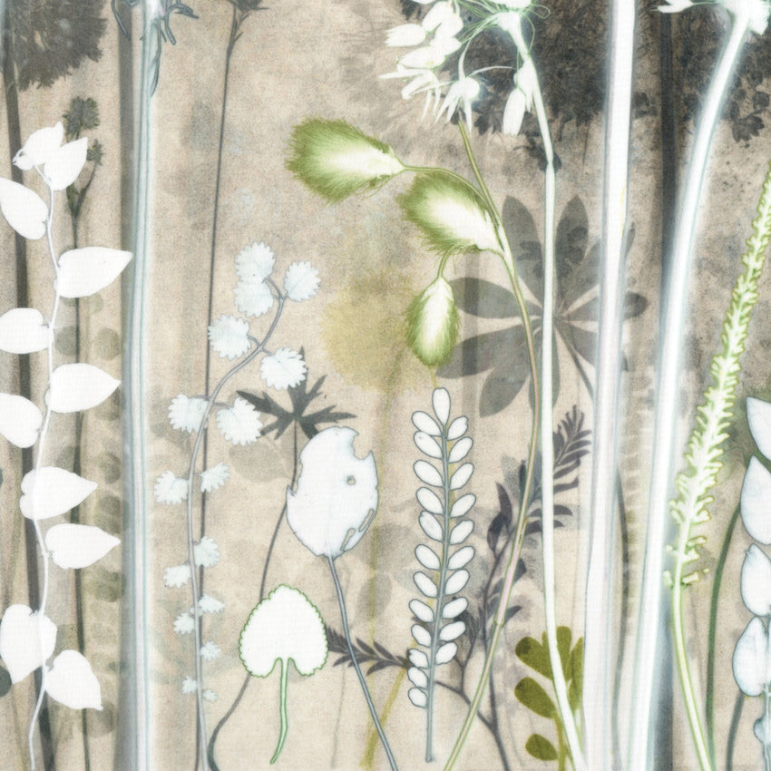Luminous Cotton Sedge Original Print