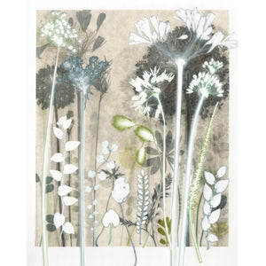Luminous Cotton Sedge Original Print