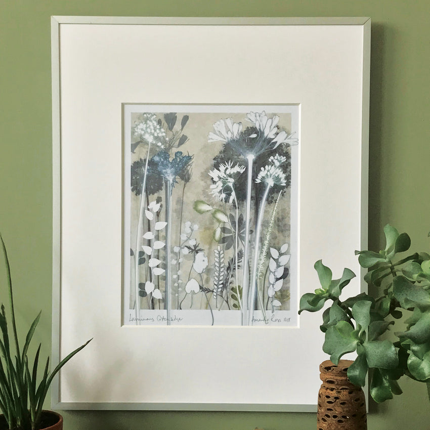 Luminous Cotton Sedge Original Print