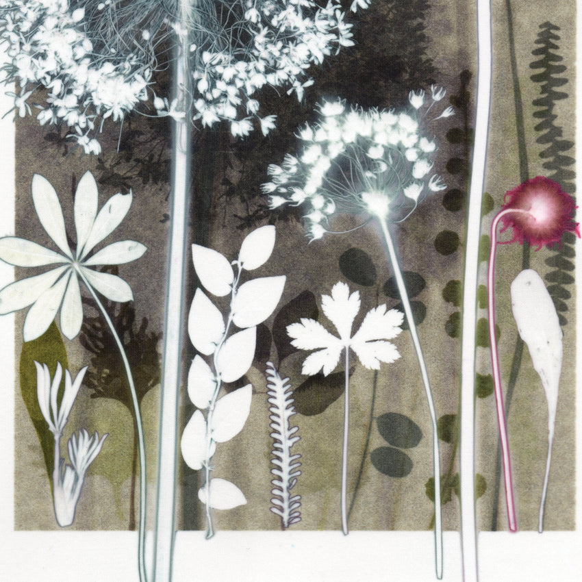 Moonlit Umbels