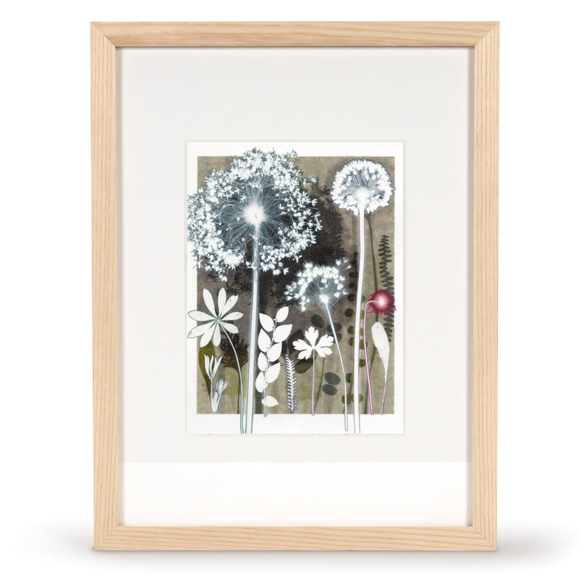 Moonlit Umbels