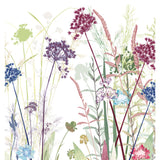 Natural Garden