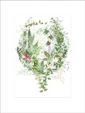 Orangery print