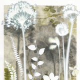 Pale Cotton Sedge and Vine Leaf, 30 x 40