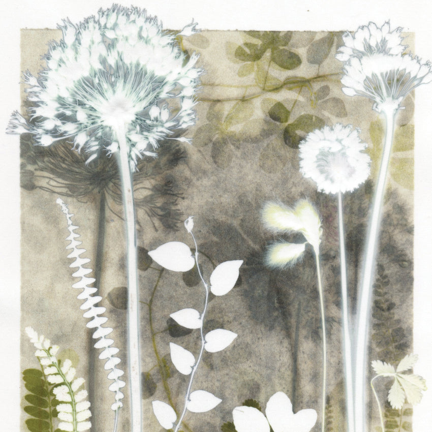 Pale Cotton Sedge and Vine Leaf, 30 x 40