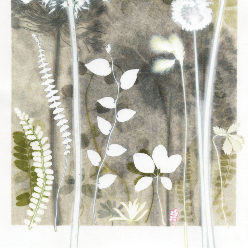 Pale Cotton Sedge and Vine Leaf, 30 x 40