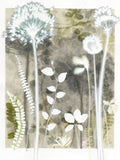 Pale Cotton Sedge and Vine Leaf, 30 x 40