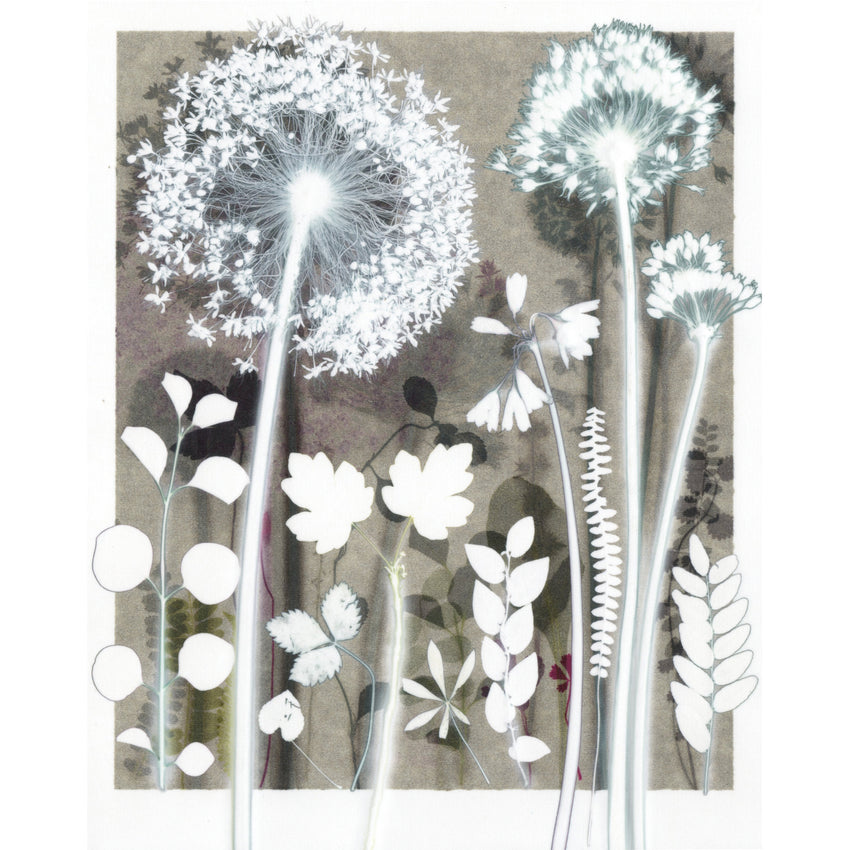 Pale Planting 40 x 50