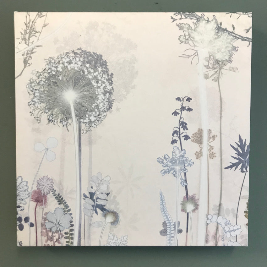 Pale Allium Panel