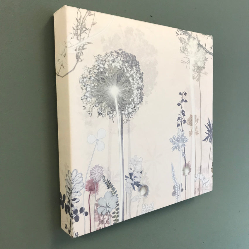 Pale Allium Panel