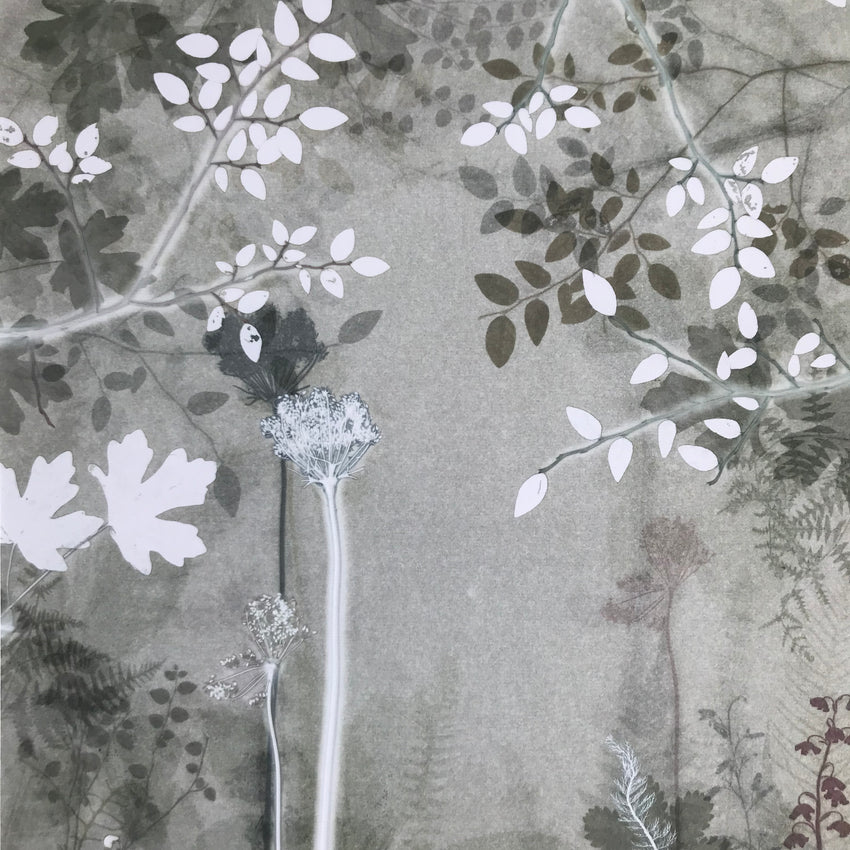 Pale Forest