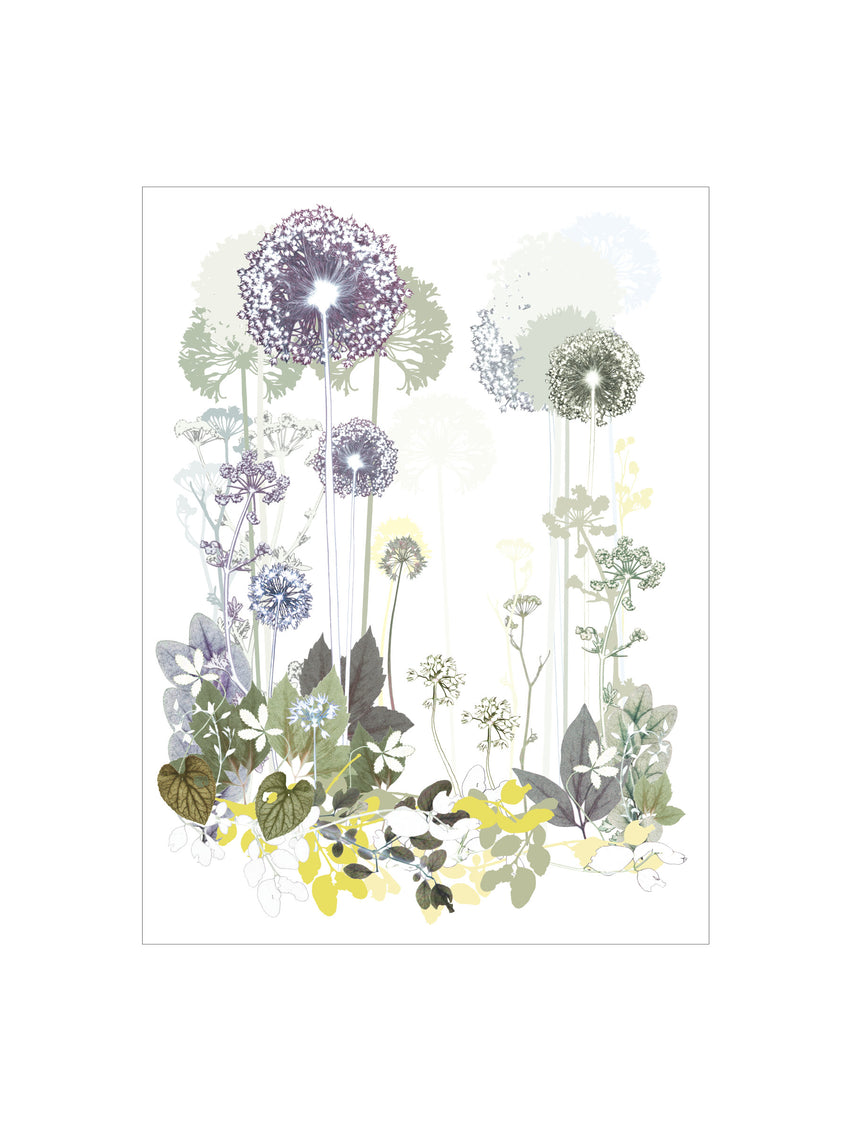 Plum Allium Thicket Large Print
