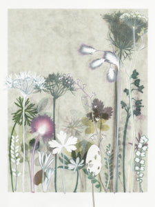 'Ramsons and Pignut' Print