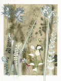 Sage Garden, 30 x 40 cm