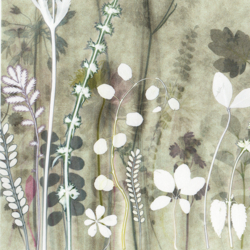 Walk in the Shires, Print