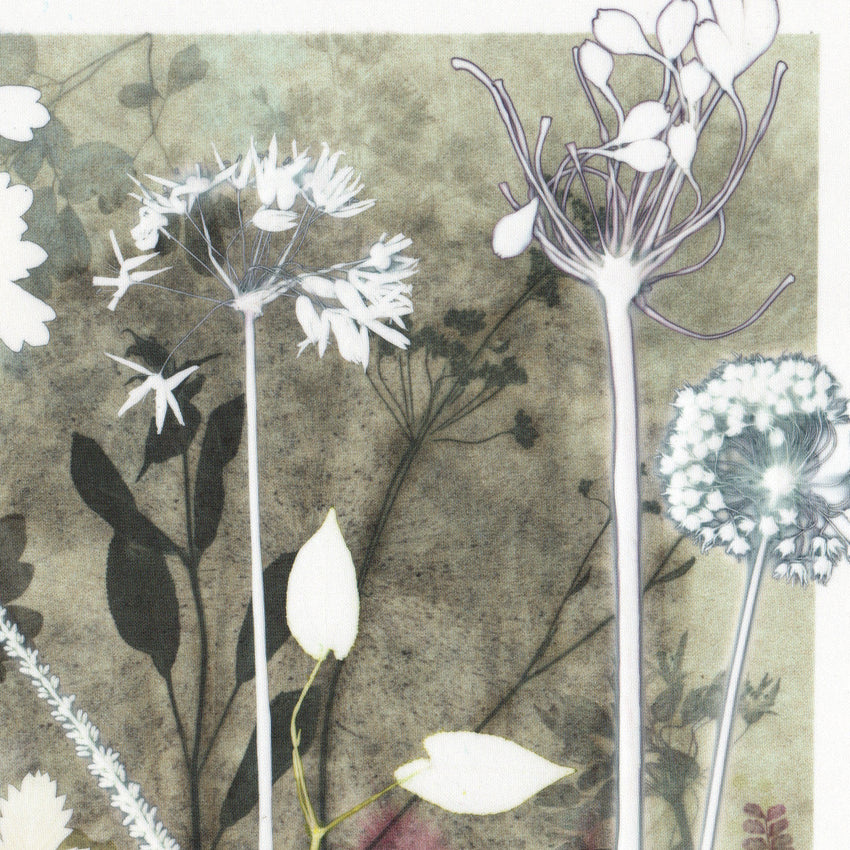 Walk in the Shires, Print