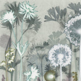 Silver Alliums