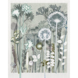 Silver Alliums