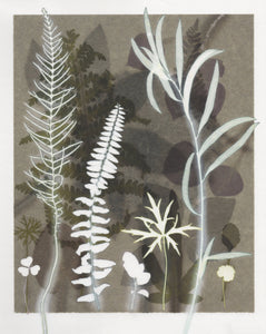 Simple Ferns