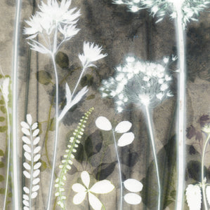Soft Garden Shadows Study