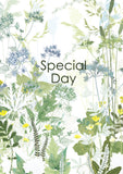 Special Day Greetings Card