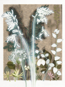 Study of Grass