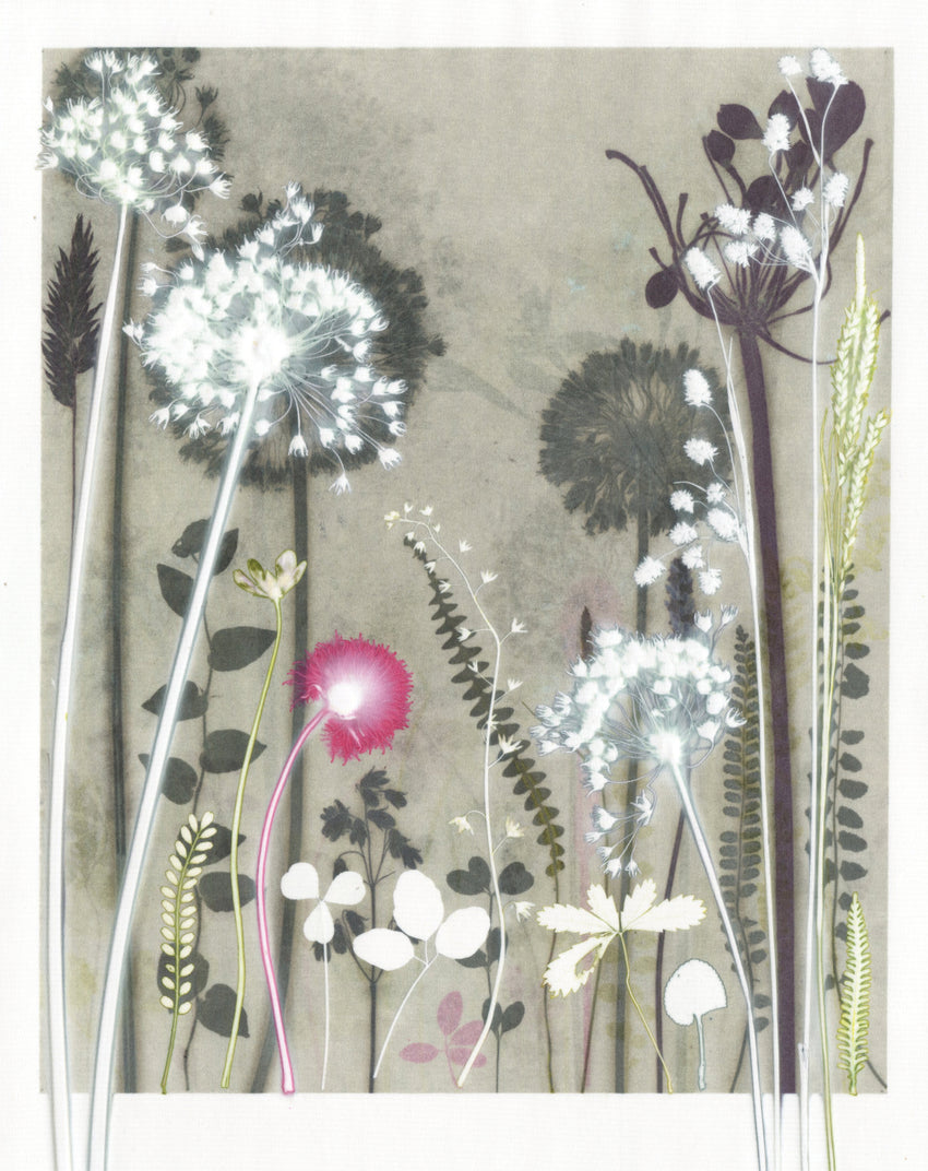 Study with Seedhead