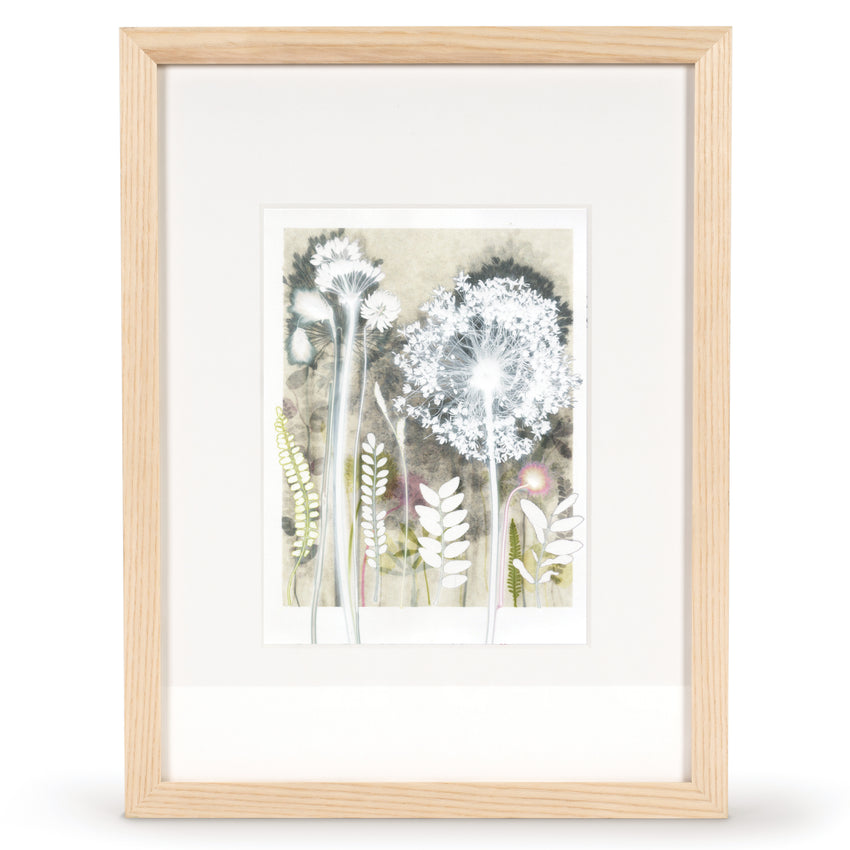 Sunny Allium, 30 x 40