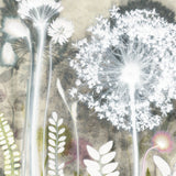 Sunny Allium, 30 x 40