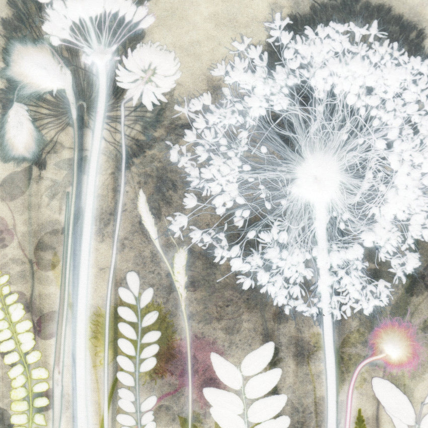 Sunny Allium, 30 x 40